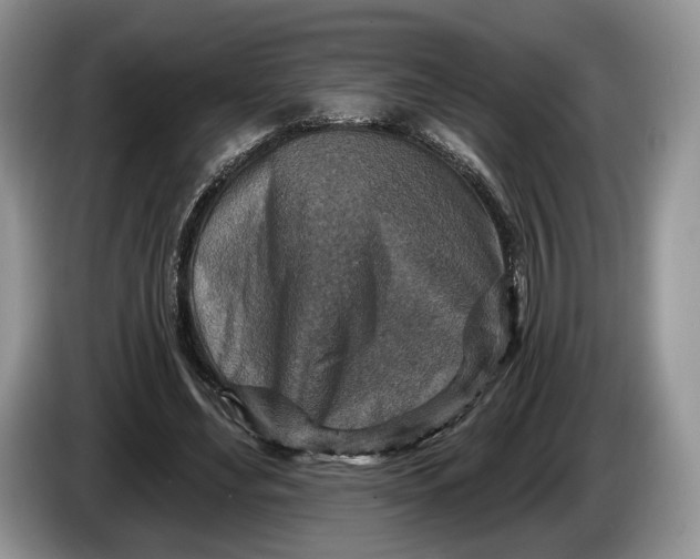 X0000086270492200704122032