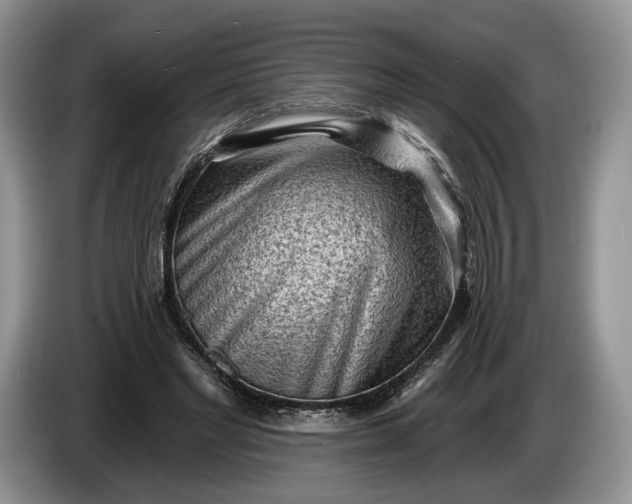 X0000086270493200704122032