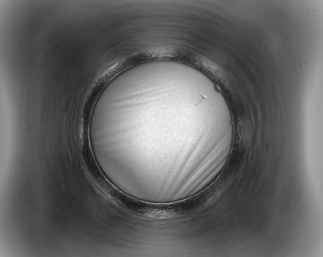 X0000086270494200704122032