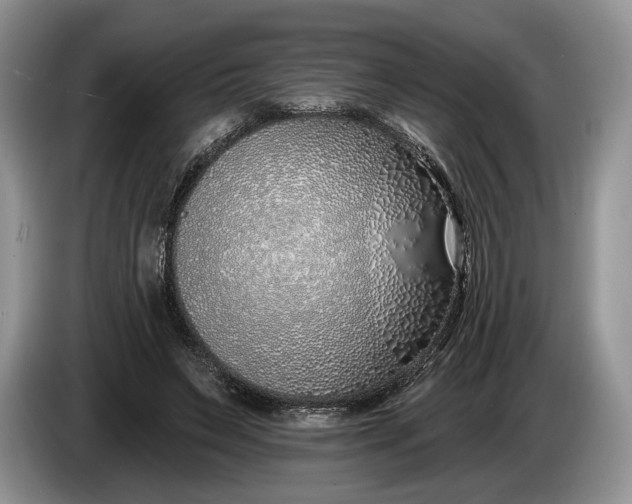 X0000086270495200704122032