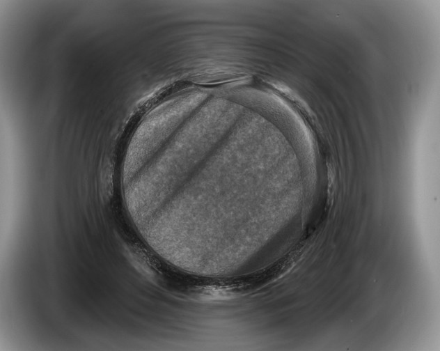 X0000086270496200704122032