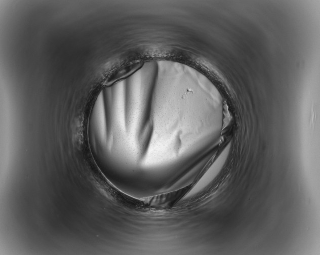 X0000086270497200704122032