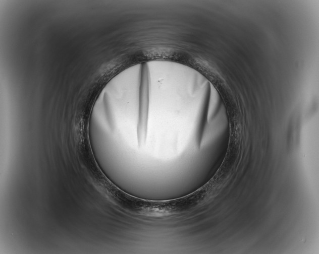 X0000086270498200704122032