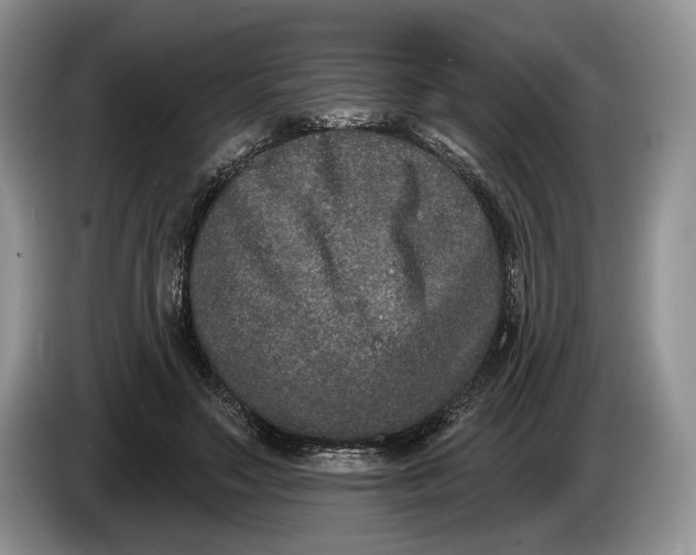 X0000086270499200704122032