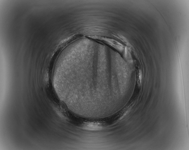 X0000086270500200704122032