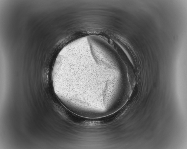 X0000086270501200704122032