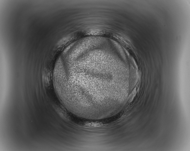 X0000086270503200704122032