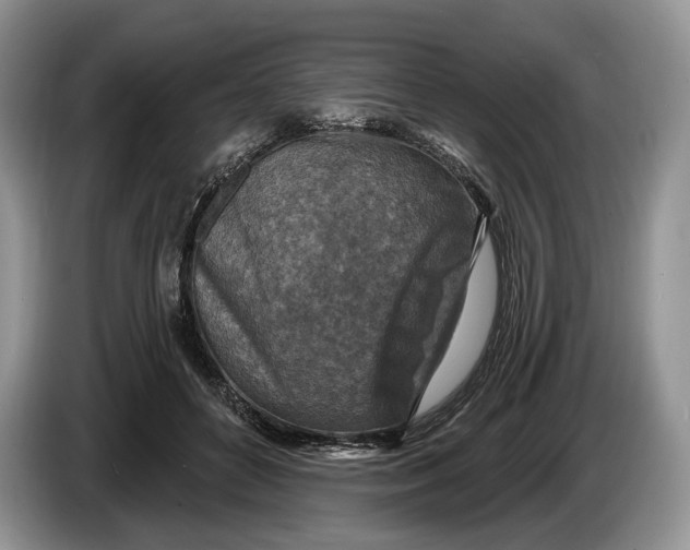 X0000086270504200704122032