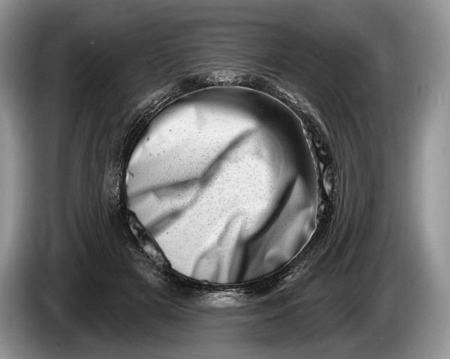 X0000086270505200704122032