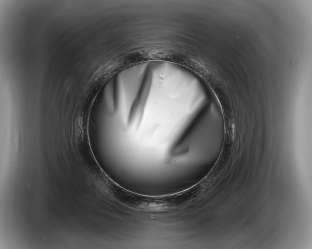 X0000086270506200704122032