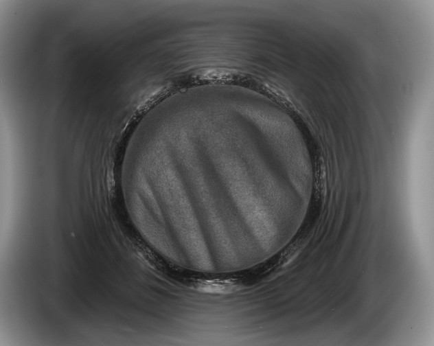 X0000086270508200704122032