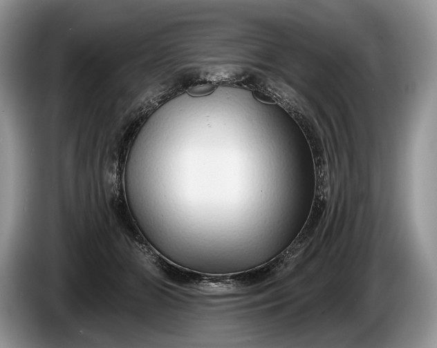 X0000086270510200704122032