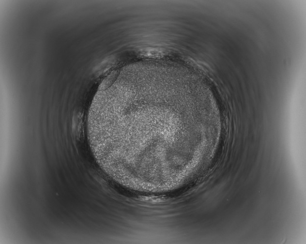 X0000086270511200704122032