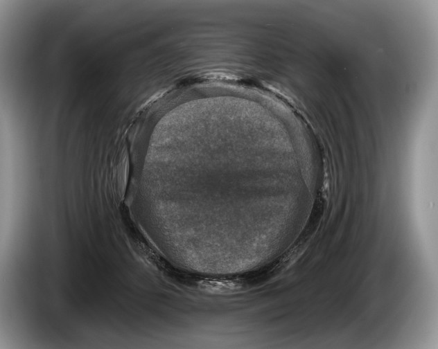 X0000086270512200704122032