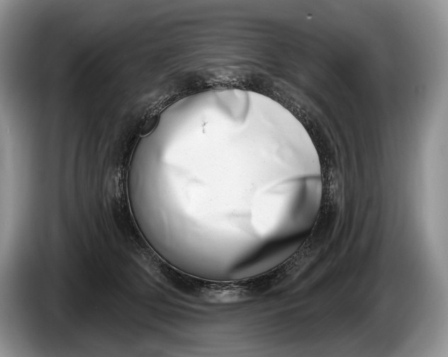 X0000086270514200704122031