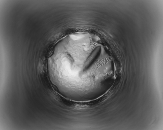 X0000086270515200704122031