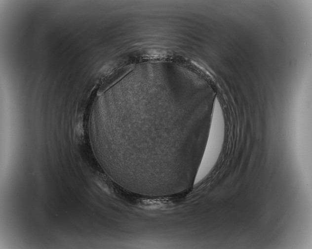 X0000086270516200704122031