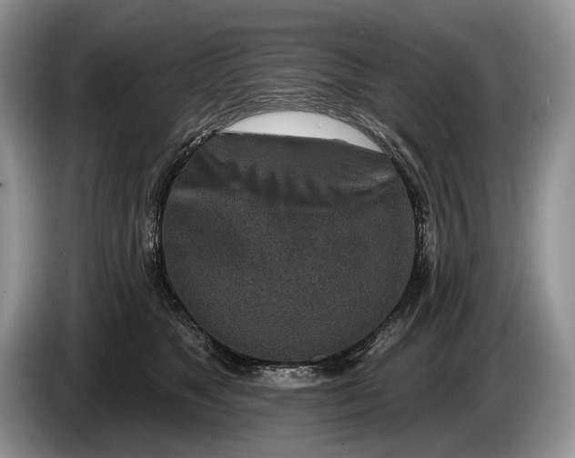 X0000086270517200704122031