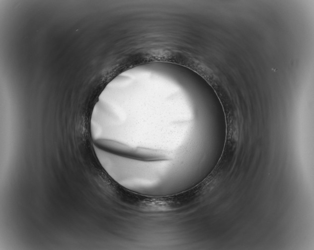 X0000086270518200704122031