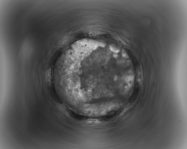 X0000086270519200704122031