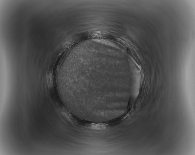 X0000086270520200704122031