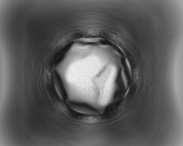 X0000086270522200704122031