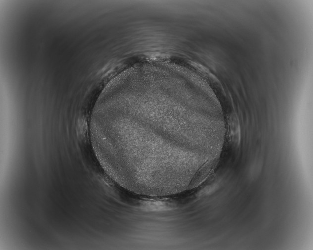 X0000086270523200704122031