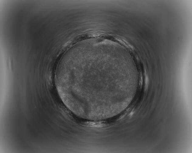 X0000086270524200704122031