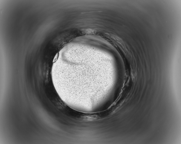 X0000086270525200704122031