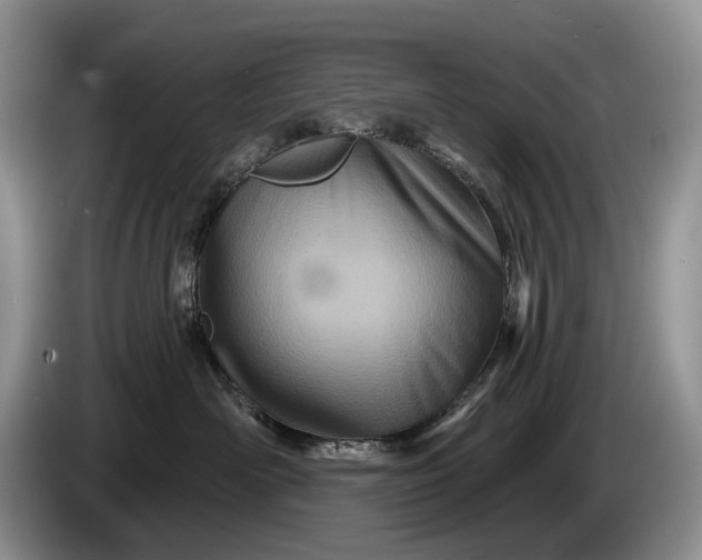 X0000086270526200704122031