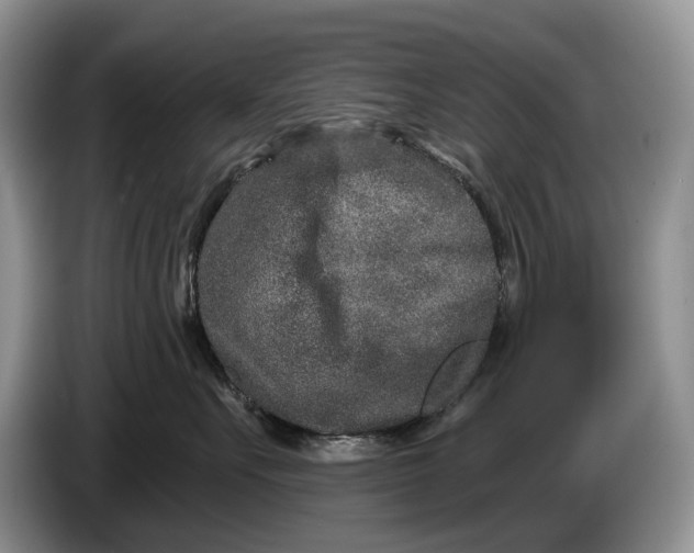 X0000086270527200704122031