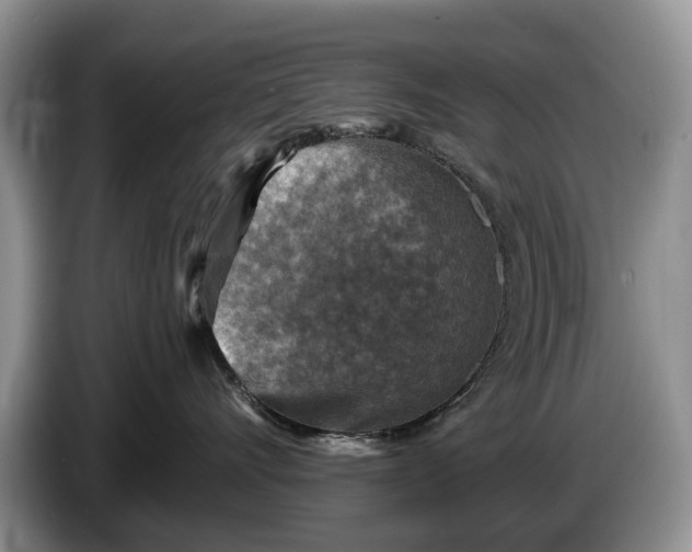 X0000086270528200704122031