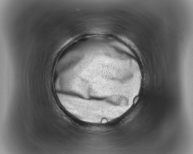 X0000086270529200704122031