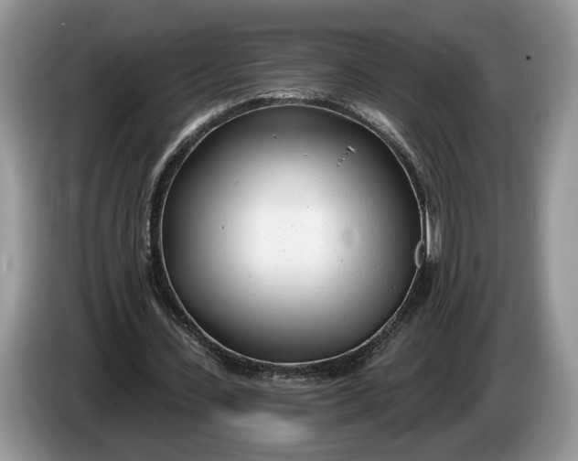 X0000086270531200704122031