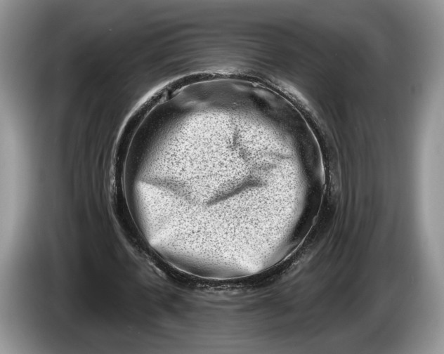 X0000086270532200704122031