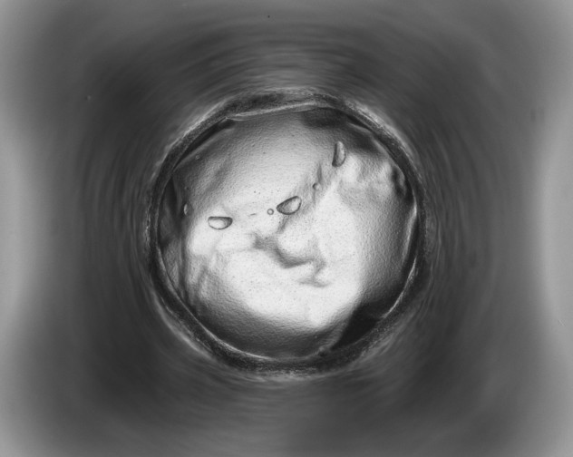 X0000086270533200704122031