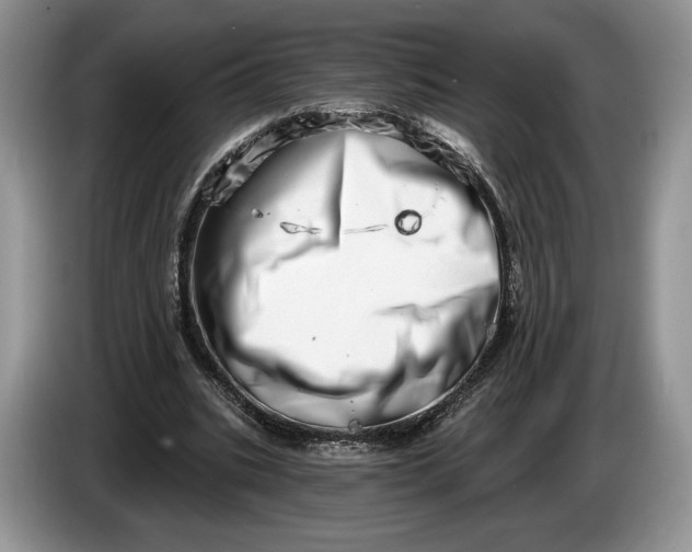 X0000086270535200704122031