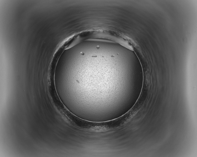 X0000086270536200704122031