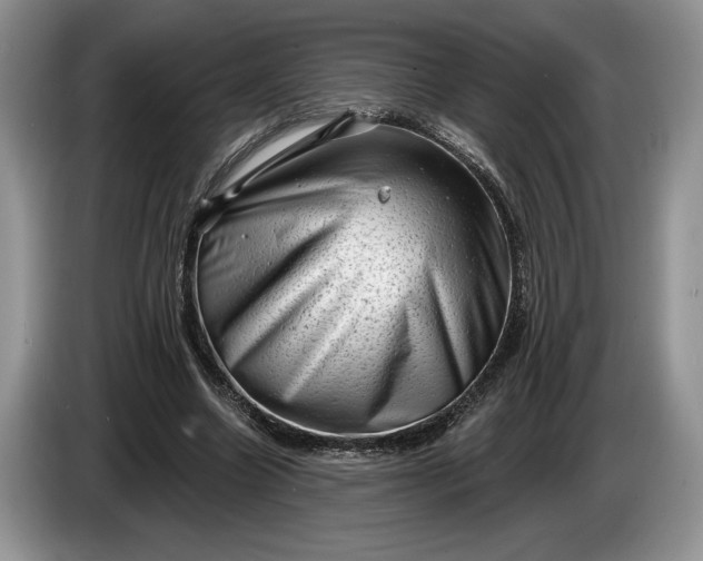 X0000086270538200704122031