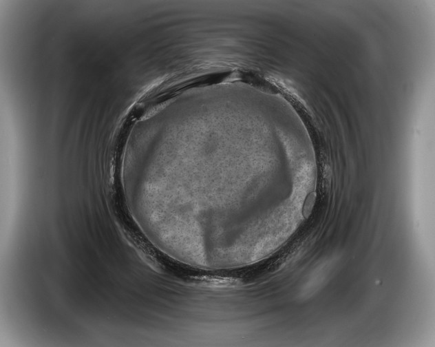 X0000086270539200704122031