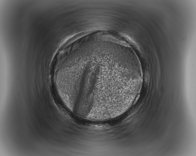 X0000086270540200704122031