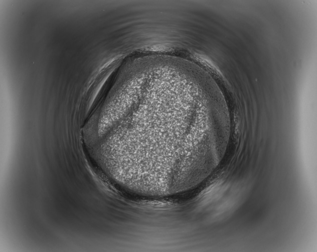 X0000086270542200704122031