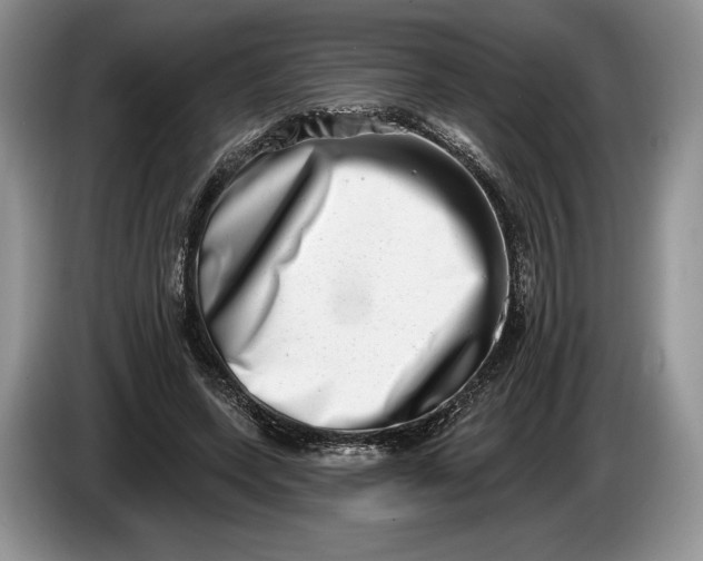 X0000086270543200704122031