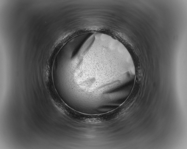 X0000086270544200704122031