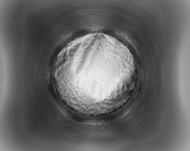 X0000086270545200704122031