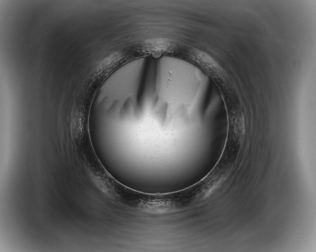 X0000086270546200704122031