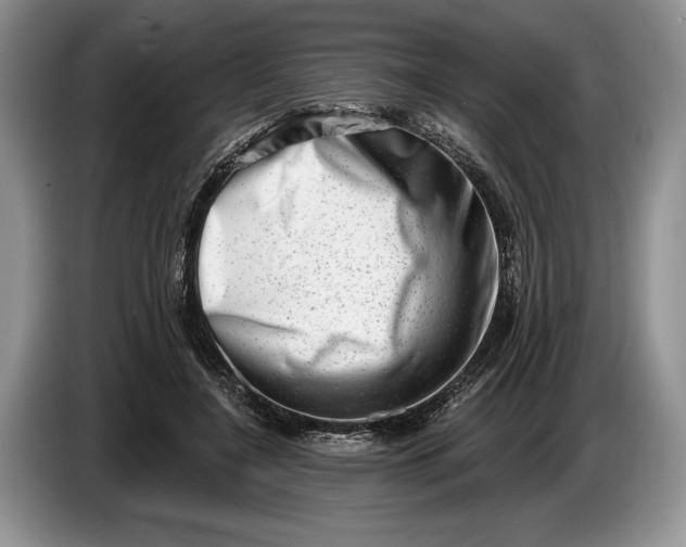 X0000086270548200704122031