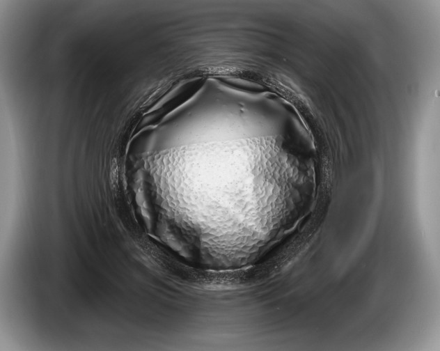 X0000086270549200704122031