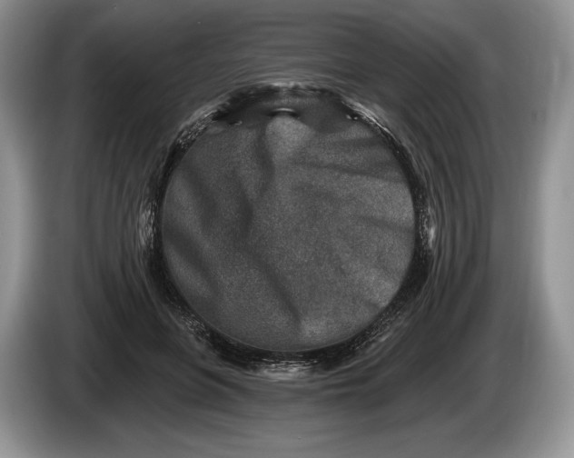 X0000086270551200704122031