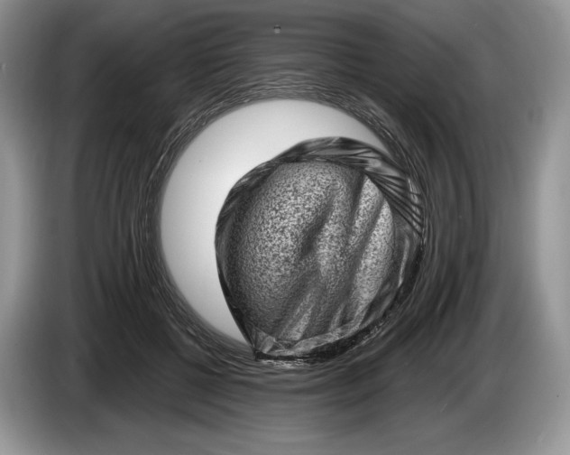 X0000086270552200704122031